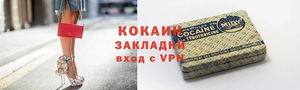 прущие грибы Балабаново