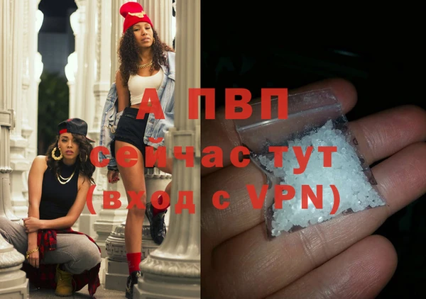 прущие грибы Балабаново