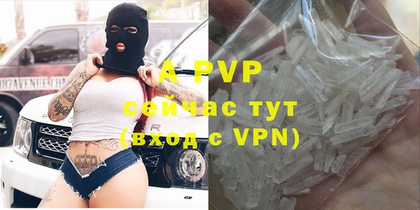 прущие грибы Балабаново