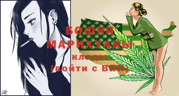 прущие грибы Балабаново