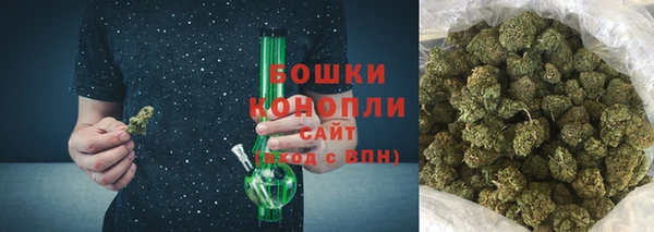 прущие грибы Балабаново