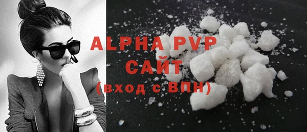 прущие грибы Балабаново