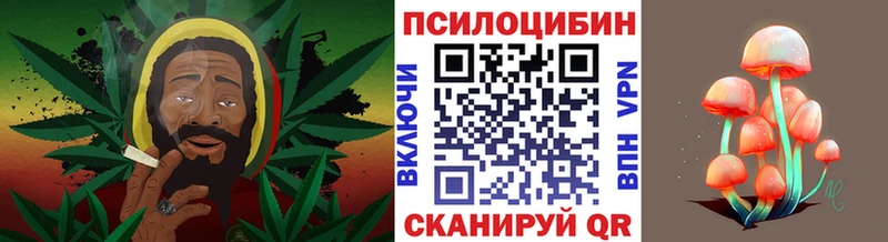 Галлюциногенные грибы Psilocybe магазин mega зеркало Верхний Тагил